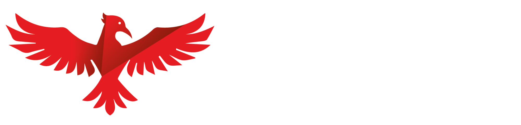 David Goerke Solutions Logo